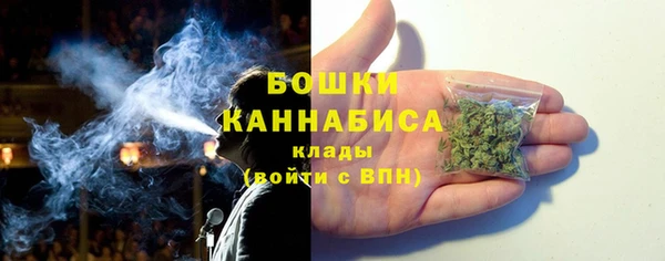 индика Вяземский